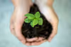 Sustainable Living