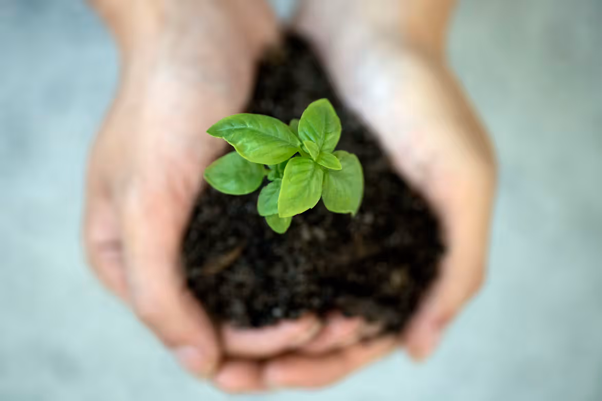 Sustainable Living