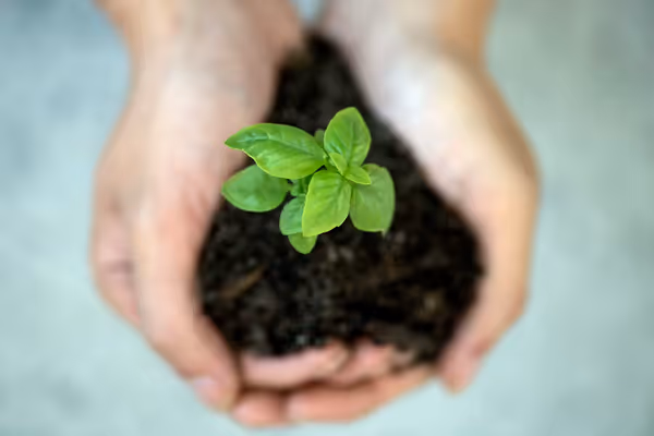 Sustainable Living